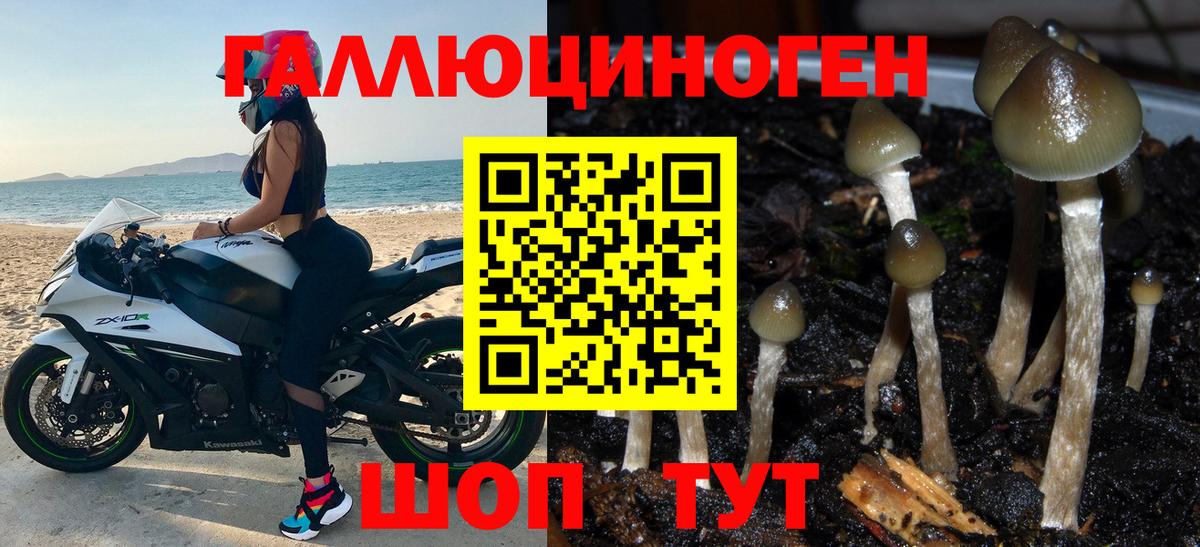 Псилоцибиновые грибы прущие грибы Зеленокумск